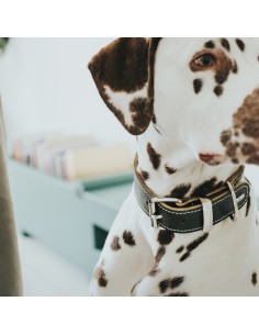 Collier pour Chien Hunter Aalborg Noir (24-30 cm) 2