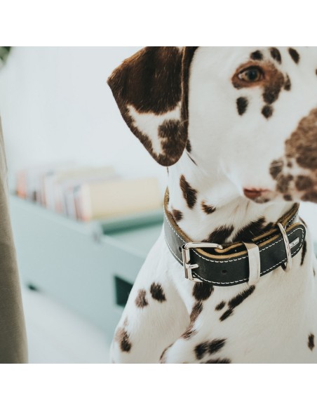 Collier pour Chien Hunter Aalborg Noir (24-30 cm)