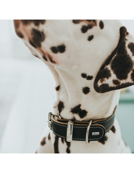 Collier pour Chien Hunter Aalborg Noir (24-30 cm)