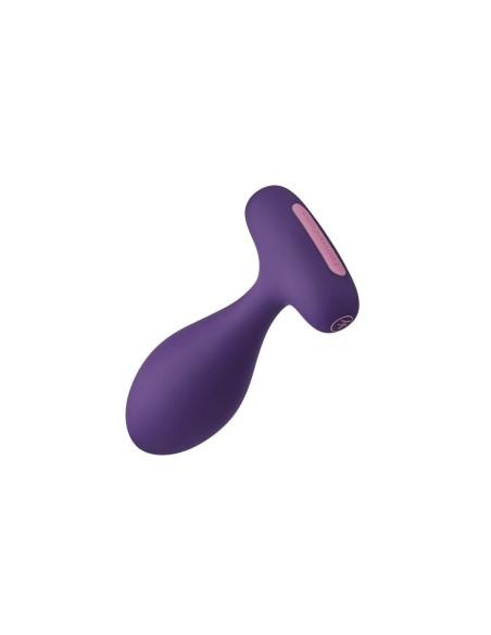 Plug Anal FemmeFunn Plua Violet