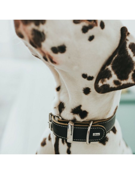 Collier pour Chien Hunter Aalborg Noir (20-24 cm)