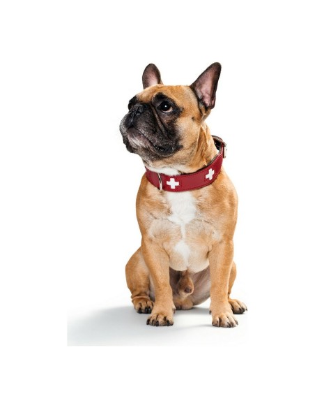 Collier pour Chien Hunter Swiss Rouge/Noir 30-34.5 cm