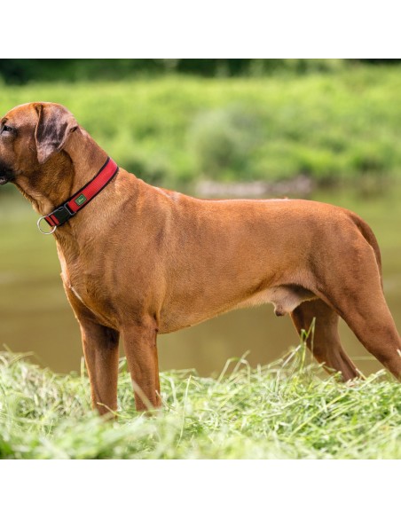 Collier pour Chien Hunter Neopren Vario Rouge (35-40 cm)