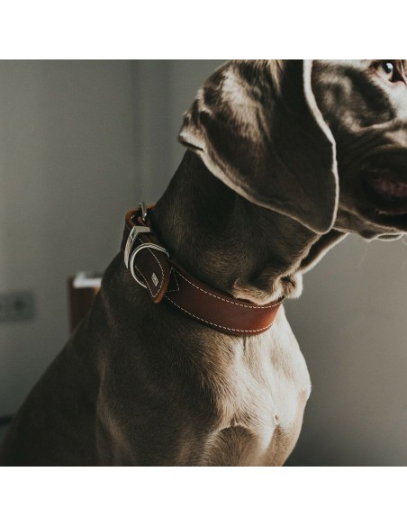Collier pour Chien Hunter Aalborg Cognac (24-30 cm)