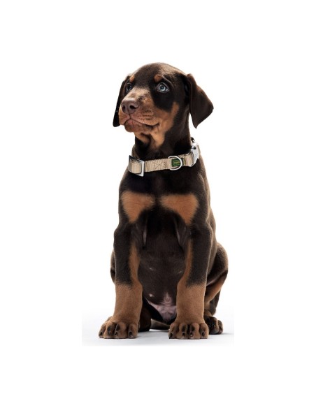 Collier pour Chien Hunter Alu-Strong Noir Taille M (40-55 cm)