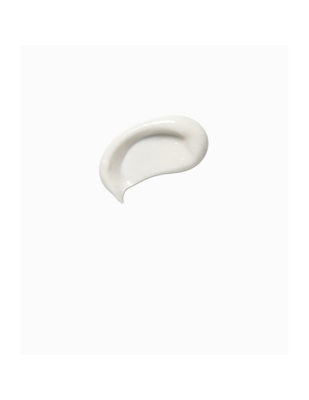 Crème de jour Payot Pâte Grise 50 ml