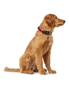 Collier pour Chien Hunter Plus Fil Rouge Taille L (40-60 cm) 2