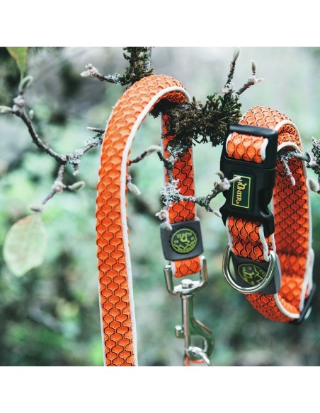 Collier pour Chien Hunter Basic Fil Orange Taille S (30-43 cm)