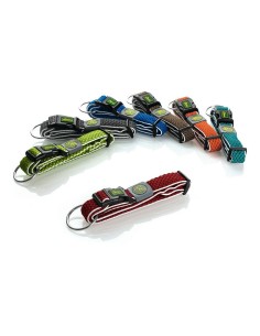 Collier pour Chien Hunter Plus Fil Taille XL Citron (45-70 cm) 2