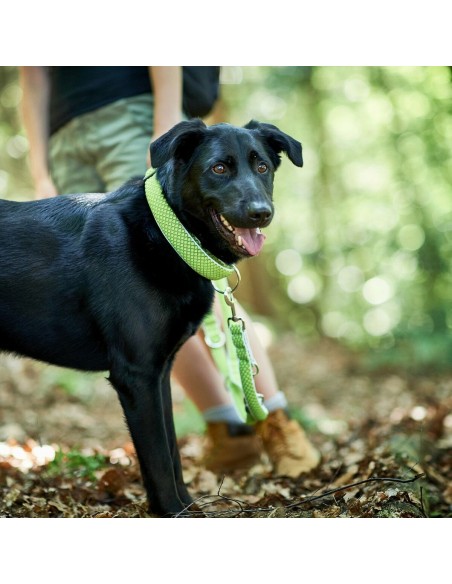 Collier pour Chien Hunter Plus Fil Taille XL Citron (45-70 cm)