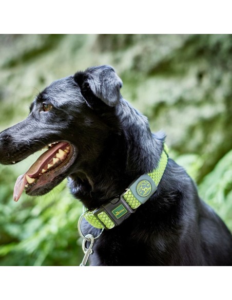 Collier pour Chien Hunter Plus Fil Taille XL Citron (45-70 cm)