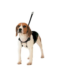 Harnais pour Chien Gloria 30-42 cm Taille M