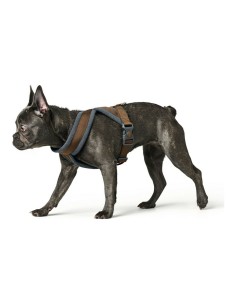 Harnais pour Chien Hunter London Comfort 52-62 cm Marron Taille S/M