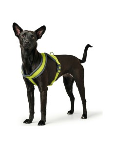 Harnais pour Chien Hunter London Comfort XS-S 39-47 cm Citron
