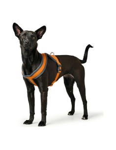 Harnais pour Chien Hunter London Comfort 39-47 cm Orange XS/S