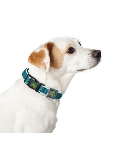 Collier pour Chien Hunter Vario Basic Fils Turquoise 20 2