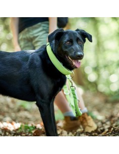 Collier pour Chien Hunter Vario Plus Fils Taille L Citron (40-60 cm) 2