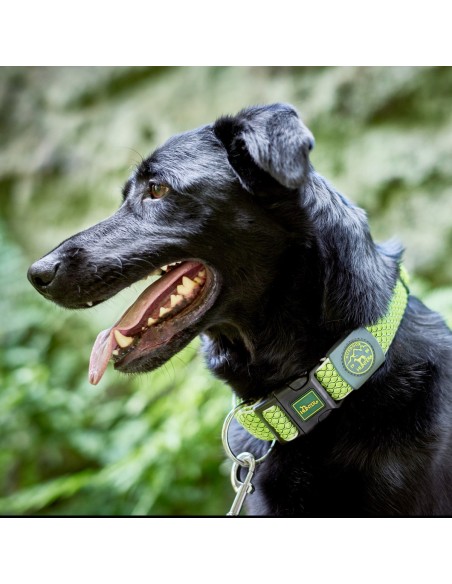 Collier pour Chien Hunter Vario Plus Fils Taille L Citron (40-60 cm)