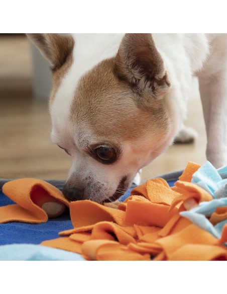 Tapis Olfactif pour Animaux de Compagnie Fooland InnovaGoods