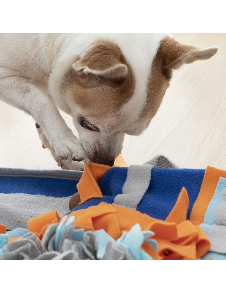 Tapis Olfactif pour Animaux de Compagnie Fooland InnovaGoods