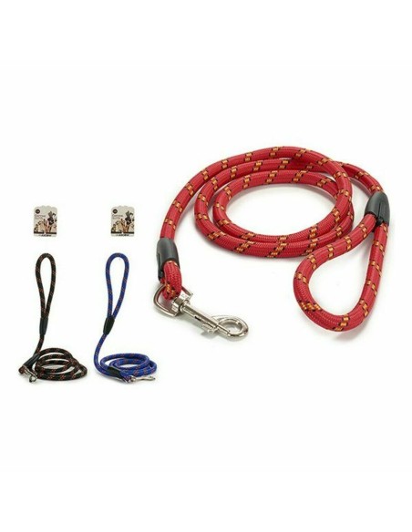 Laisse pour Chien Rayures 120 cm