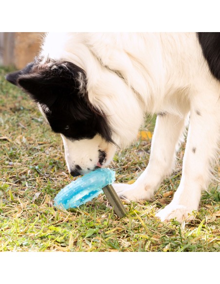Jouet à Mordre 2 en 1 Congelable pour Animaux de Compagnie Glubiz InnovaGoods