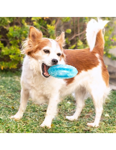 Jouet à Mordre 2 en 1 Congelable pour Animaux de Compagnie Glubiz InnovaGoods
