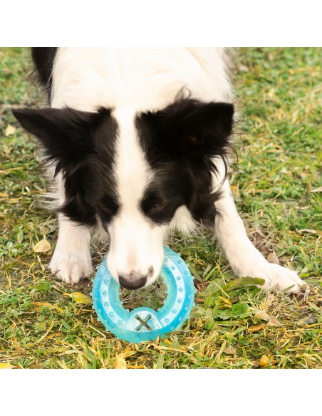 Jouet à Mordre 2 en 1 Congelable pour Animaux de Compagnie Glubiz InnovaGoods
