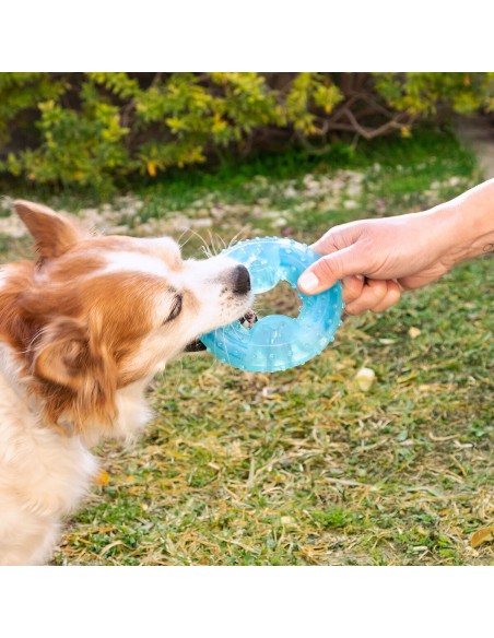 Jouet à Mordre 2 en 1 Congelable pour Animaux de Compagnie Glubiz InnovaGoods