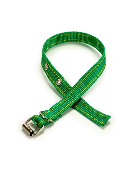 Collier pour Chien 0,3 x 42 x 2 cm (12 Unités)