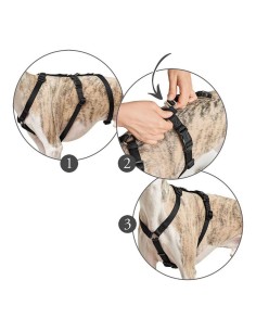 Harnais pour Chien Hunter 48-70 cm Noir S/M