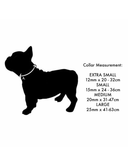 Collier pour Chien Red Dingo Unicorn 24-37 cm