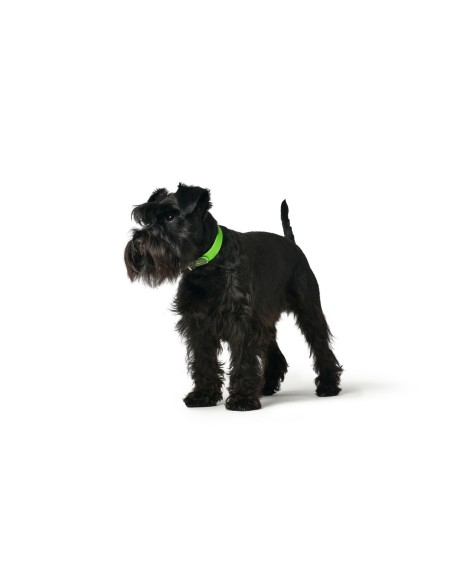 Collier pour Chien Hunter Convenience 23-31 cm Vert XS/S