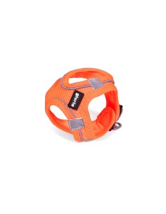 Harnais pour Chien Gloria Trek Star 29,4-32,6 cm 41,4-43 cm Orange S