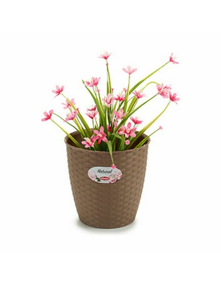 Cache-pot Stefanplast Marron Plastique 19 x 17,5 x 19 cm (12 Unités)