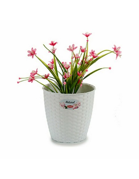 Cache-pot Stefanplast Blanc Plastique 19 x 17,5 x 19 cm (12 Unités)