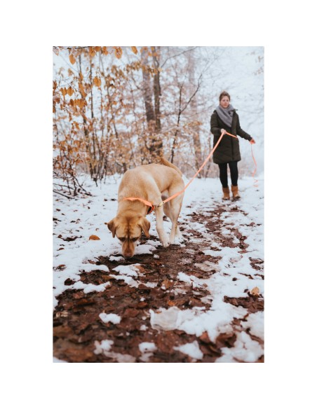 Collier pour Chien Hunter Convenience 47-55 cm L Orange