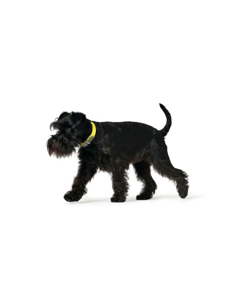 Collier pour Chien Hunter Convenience 47-55 cm L Jaune