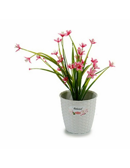 Cache-pot Stefanplast Blanc Plastique 14 x 13 x 14 cm (12 Unités)