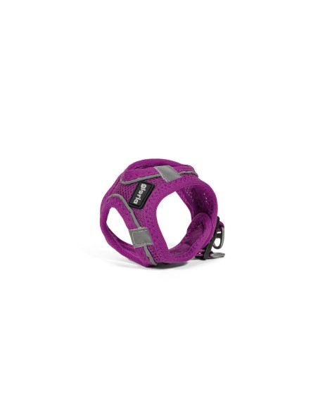 Harnais pour Chien Gloria 41,4-43 cm Violet S 29,4-32,6 cm