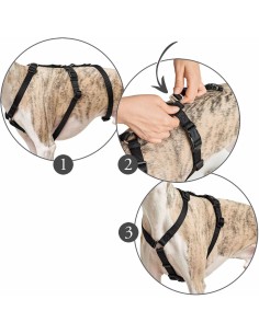 Harnais pour Chien Hunter 48-70 cm Rouge S/M 36-51 cm 2
