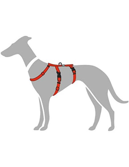 Harnais pour Chien Hunter 48-70 cm Rouge S/M 36-51 cm