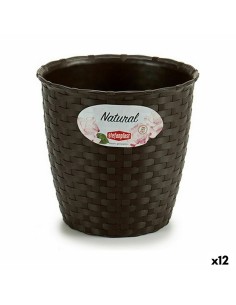 Cache-pot Stefanplast Plastique 14 x 13 x 14 cm (12 Unités)