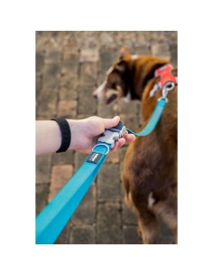 Laisse pour Chien Red Dingo Turquoise 2