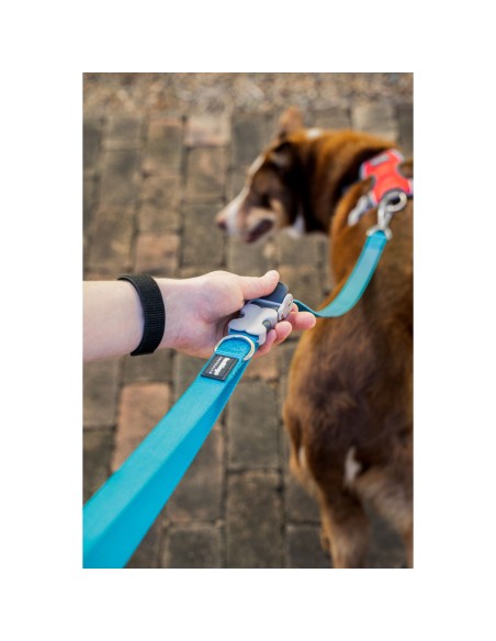 Laisse pour Chien Red Dingo Rouge