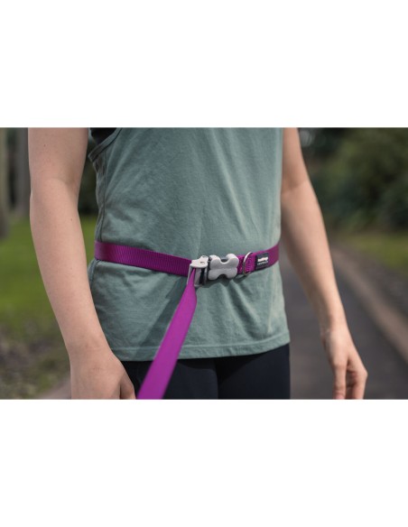 Laisse pour Chien Red Dingo Rouge