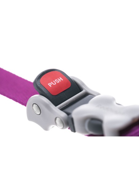 Laisse pour Chien Red Dingo Rouge