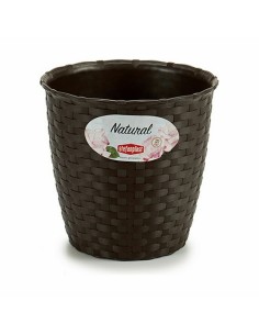 Cache-pot Stefanplast Plastique 14 x 13 x 14 cm (12 Unités) 2