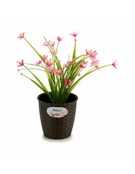 Cache-pot Stefanplast Plastique 14 x 13 x 14 cm (12 Unités)