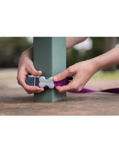 Laisse pour Chien Red Dingo Fuchsia 2